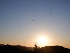 -大围山国家森林公园