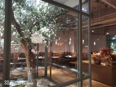 -大树餐厅(大悦城店)