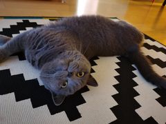 -鸿通城购物中心