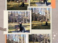 -阳台山自然风景区