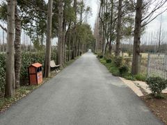 -上海长兴岛郊野公园