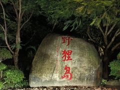 -野狸岛