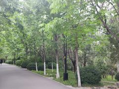 -千佛山风景名胜区