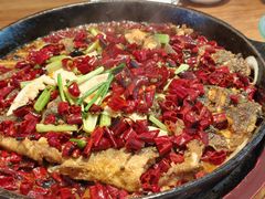 -老板恋上鱼(恒隆广场店)