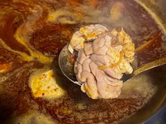 -中和远东火锅兔(老店)