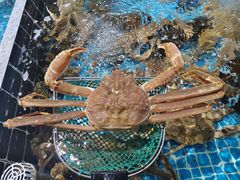 -巧克力渔家.小船海鲜胶东菜(万平口店)