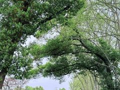 -东湖落雁景区