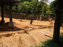 -杭州野生动物世界