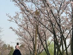 -长田漾湿地公园