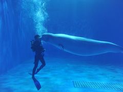 -多彩贵州城极地海洋世界