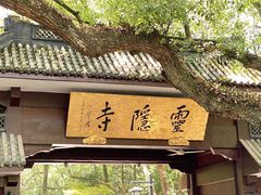 -新白鹿餐厅(西湖银泰店)