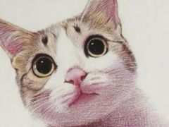 -八哥美术·成人美术画室(总校区)