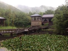 -藏龙百瀑风景区