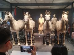 -秦始皇帝陵博物院-丽山园