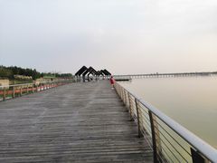 -滆湖低碳生态公园