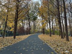 -牛八宝桂林米粉(八里庄店)