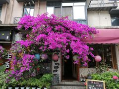 -泡桐树街