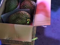 -深圳市海吉星国际农产品物流管理有限公司