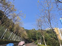 -狐尾山公园