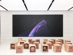 -Apple零售店(玄武湖店)