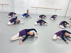 -西安小天鹅艺术团(金花路校区)