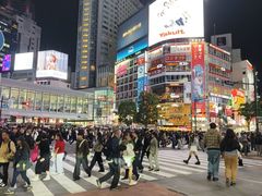 -涩谷全向十字路口