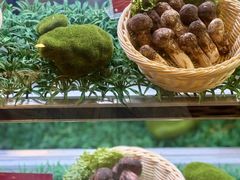-天宜隆蘑菇宴火锅(石景山旗舰店)