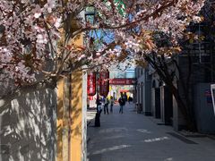 -龙湖星悦荟(颐和店)