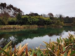 -花溪公园