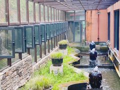 -Local泰莲庭(虹鳟鱼店)