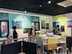 -紫金山天文台