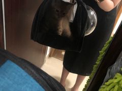 -瑞鹏宠物医院·骨科·猫科·内科(第一中心)
