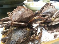 -食家鸽园