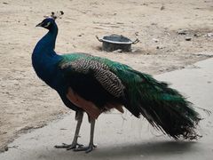-广东花都香草世界旅游度假区