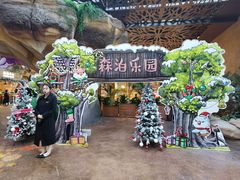 -杭州开元森泊度假乐园