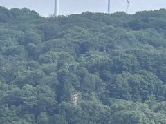 -香炉山国家森林公园