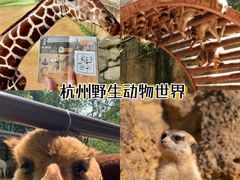 -杭州野生动物世界