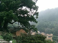 -杨家堂村
