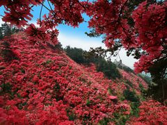 -木兰云雾山