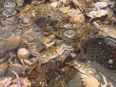 -港畔赶海蒸汽海鲜烧烤自助(仙螺岛店)