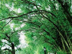 -广州市白云山风景名胜区