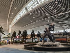-青岛胶东国际机场