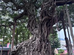 -闽粤南澳总镇府