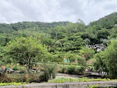 -广东天露山旅游度假区