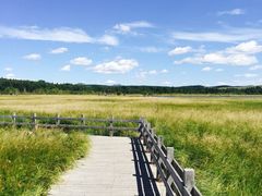 -塞罕坝国家级自然保护区