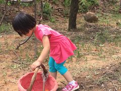 -草根堂农场