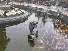 -上海东林寺(金山区)