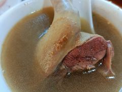 -东鸽皇(奥园·中环广场店)