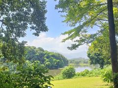 -福建鲤鱼洲酒店