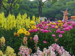 -苏州上方山国家森林公园